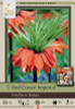 Red Crown Imperial Bulb 1pk Red Crown Imperial Bulb 1pk