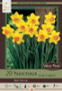 Narcissus Bulb 16pk | Red Devon Narcissus Bulb 16pk | Red Devon