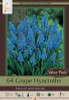 Grape Hyacinth Bulb 64pk Grape Hyacinth Bulb 64pk