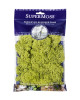 Preserved Reindeer Moss 8oz