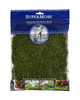Preserved Sheet Moss