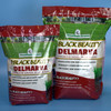 Black Beauty® Delmarva Blend Grass Seed