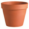 Standard Pot