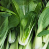 Market Pack Vegetable | Pak Choi