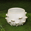 Low Mushroom Pot 3.75"