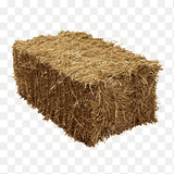 Straw Bale