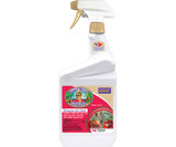 Captain Jack's® Deadbug Brew | 32oz Ready-to-Use