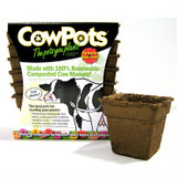 Cow Pots 4" Square 12pk