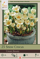 Crocus Bulb 15pk | Cream Beauty