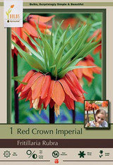 Red Crown Imperial Bulb 1pk