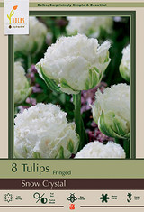 Tulip Bulb 8pk | Snow Crystal