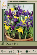 Dwarf Iris Bulb 25pk | Mixed