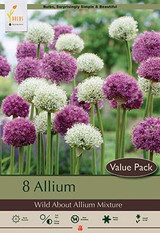 Allium Bulb 8pk | Wild About Mix