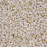 Safflower Seed Bird Feed 10lb