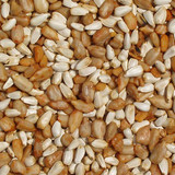 Cajun Cardinal Bird Feed 5lb
