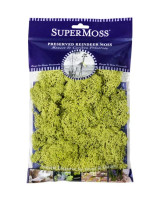 Preserved Reindeer Moss 8oz