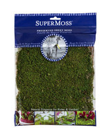 Preserved Sheet Moss