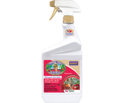 Captain Jack's® Deadbug Brew | 32oz Ready-to-Use