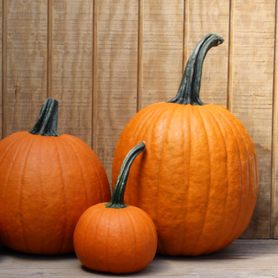 Pumpkin Package