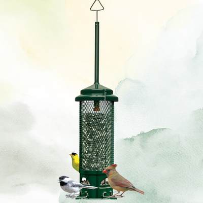 image provided by Brome Bird Care