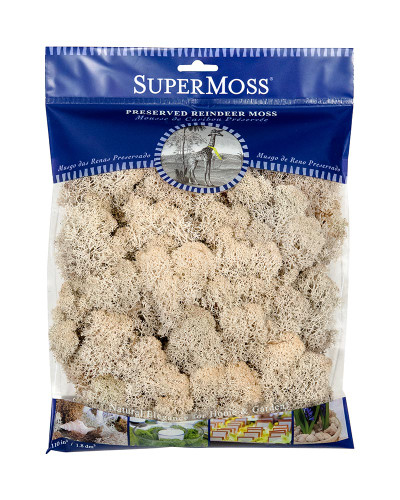 image courtesy of Super Moss