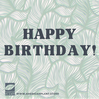 Happy Birthday