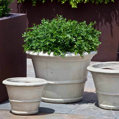 images courtesy of Campania International
