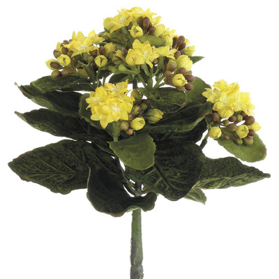 image courtesy of Allstate Floral & Craft