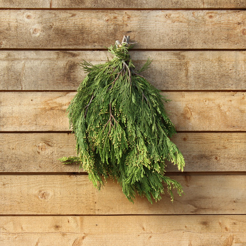 Incense Cedar Bunch