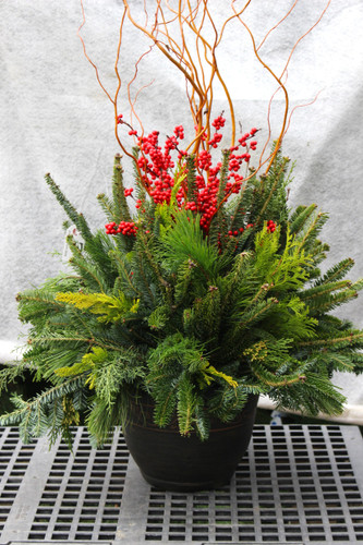 Wintergreen Willow Arrangement