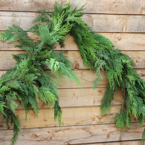 Western Cedar Roping | 75'