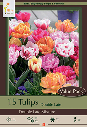 Tulip Bulb 16pk | Double Late Mix