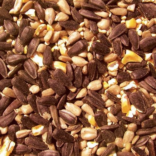 Blazing Hot Blend Bird Feed 10lb