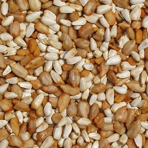 Cajun Cardinal Bird Feed 10lb