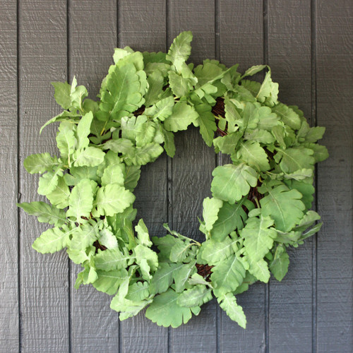 24" Dusty Miller Wreath