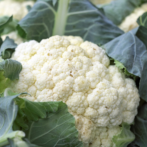 Market Pack Vegetable | Cauliflower