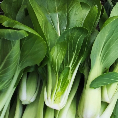 Market Pack Vegetable | Pak Choi