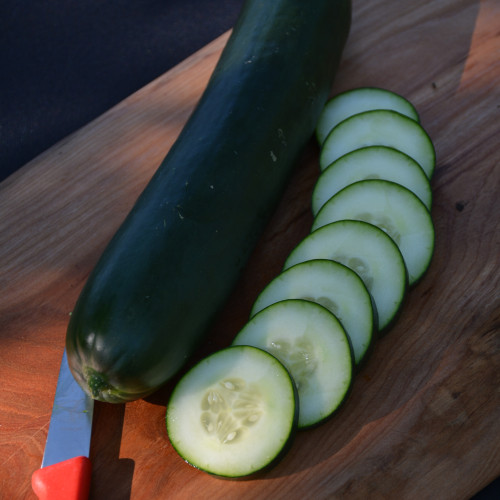 image courtesy of NetPS Plant Finder