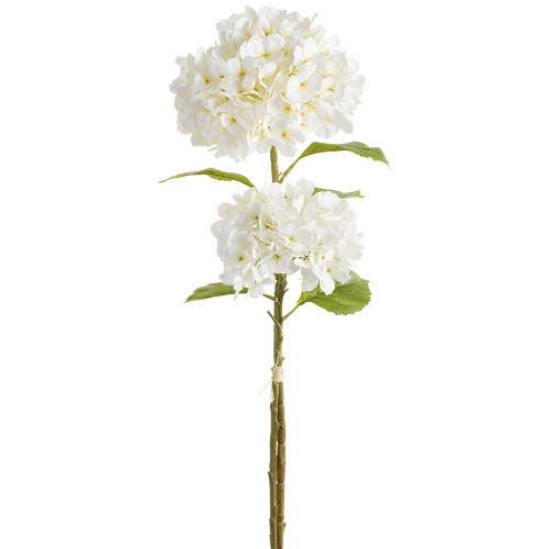 image courtesy of Allstate Floral & Craft