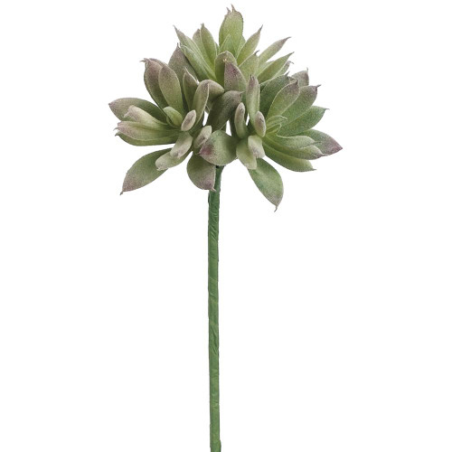 image courtesy of Allstate Floral & Craft