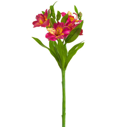 image courtesy of Allstate Floral & Craft