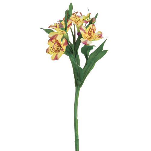 image courtesy of Allstate Floral & Craft