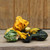 Small Winged Gourds