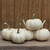 Baby Boo Gourds