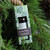 Roland Pine Fragrance Oil - 1oz