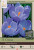 Crocus Bulb 12pk | Remembrance