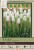 Tulip Bulb 7pk | Snow White