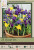 Dwarf Iris Bulb 25pk | Mixed