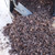 Pine Soil Conditioner 2 cu ft