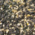 Blue Ribbon Blend Bird Feed 10lb